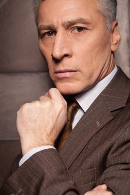 resmi kıyafeti kendine güvenen kıdemli adamı