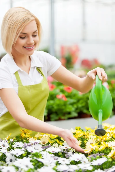 Woman watering flowers — Stock Photo, Image