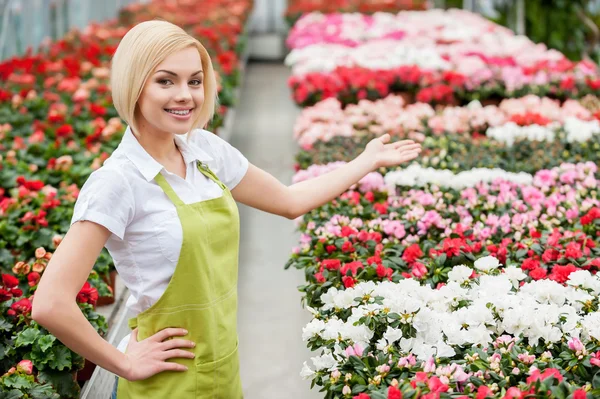 Woman in greenhouse — Stock Photo, Image