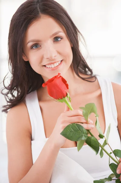 Woman holding red rose Stock Image