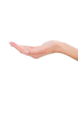 Holding alan Kopyala.