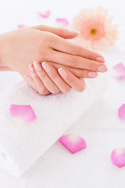 Female hands on the towel with rose petals — Stock Photo, Image