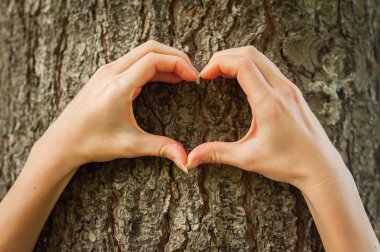 heartshape ağaç üzerinde eller eller