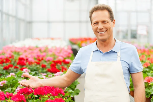 Homme debout dans le lit de fleurs — Photo