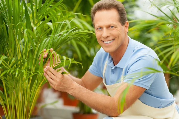 Homem de uniforme perto de plantas em vaso — Fotografia de Stock