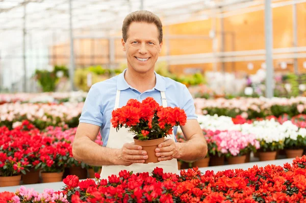 Man with potted plant. — Stock Photo, Image