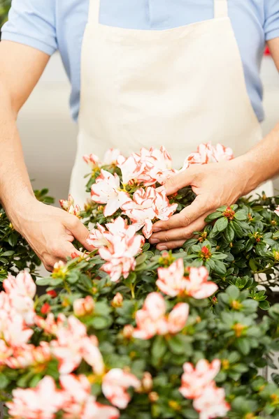 Giardinaggio. — Foto Stock