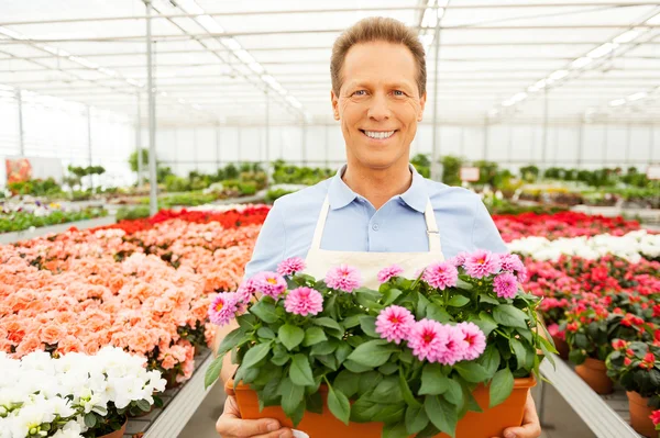 Mature man in apron holding a potted plant — Stock Photo, Image