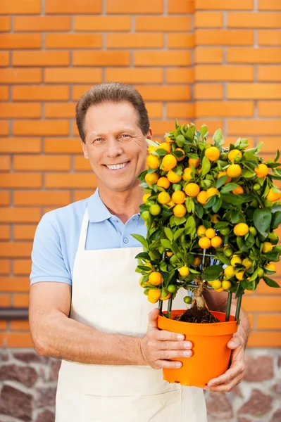 Homme en tablier tenant une plante en pot — Photo