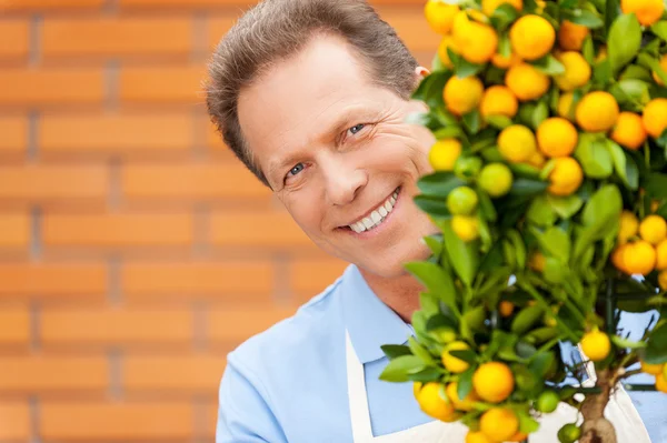 Glad trädgårdsmästare. — Stockfoto