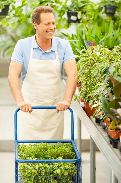 Homem de avental com carrinho cheio de plantas em vaso — Fotografia de Stock