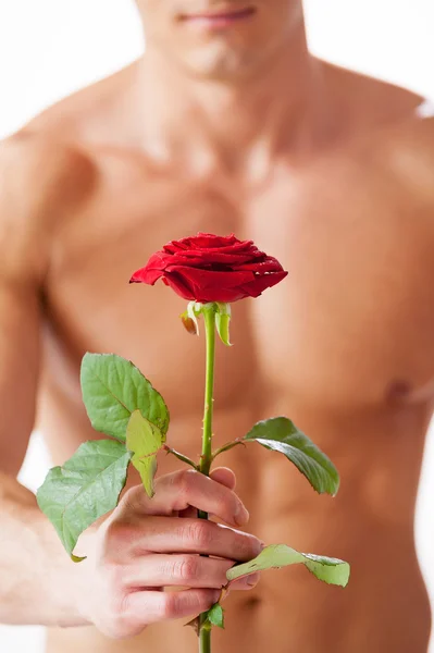 Hombre musculoso con rosa — Foto de Stock