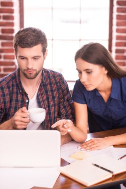 proje üzerinde birlikte çalışma.