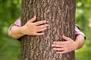 eller ağaç sarılma