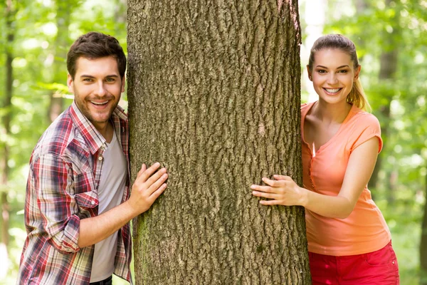 Pareja mirando desde el árbol — Foto de Stock