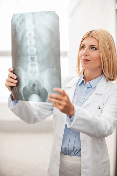 Médico examinando rayos X . —  Fotos de Stock
