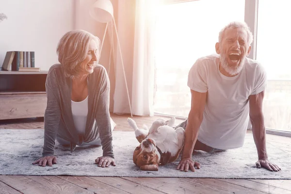 Moderna senior par i sportkläder gör yoga och ler medan du spenderar tid hemma med sin hund — Stockfoto