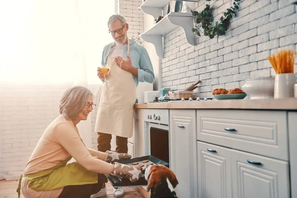 Счастливая пожилая пара в фартуках готовит здоровый ужин в духовке и улыбается, проводя время дома — стоковое фото