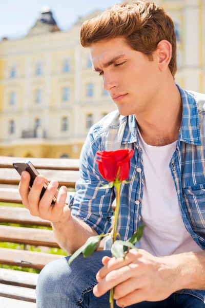 Man holding rose and looking at his mobile phone — Stock Photo, Image