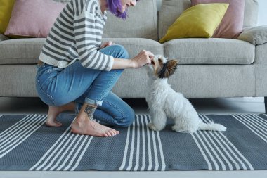 Evde köpeğini besleyen genç bir kadının yakın çekimi.