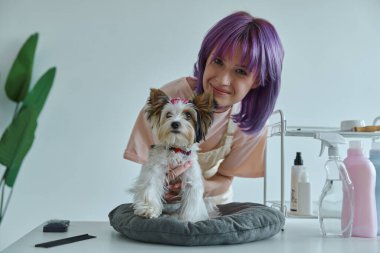 Çekici bir genç kadın kuaförde küçük köpeğe bakıyor.