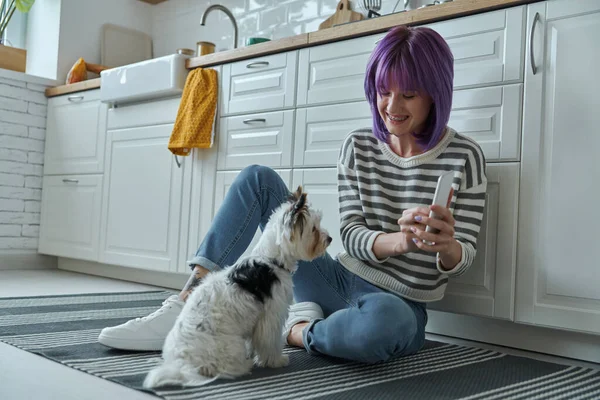 Young Woman Showing Her Smart Phone Little Dog While Sitting — Stok fotoğraf