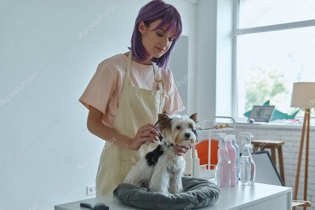 Confident woman taking care of little dog at the grooming salon