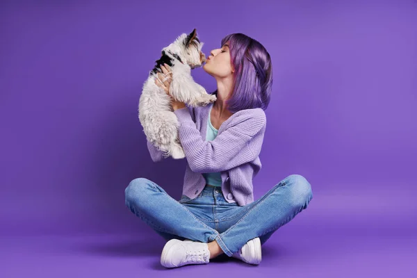 Playful Young Woman Carrying Little Dog While Sitting Purple Background — Fotografia de Stock
