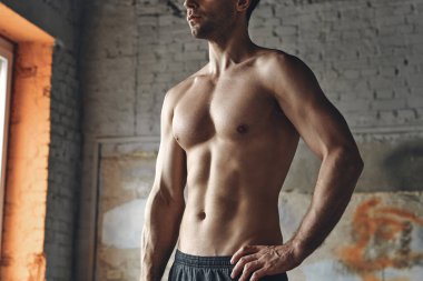 Close-up of young man with muscular torso holding hand on hip