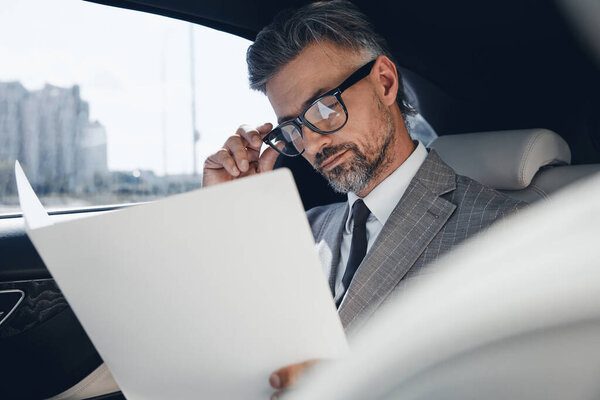 Concentrated mature businessman looking through papers while sitting on the back seat of a car