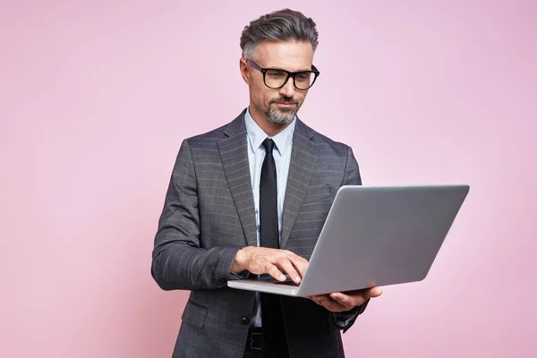 Confident Mature Man Formalwear Using Laptop While Standing Pink Background — 图库照片