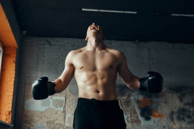 Spor salonunda dururken bağıran boks eldivenli öfkeli genç adam.