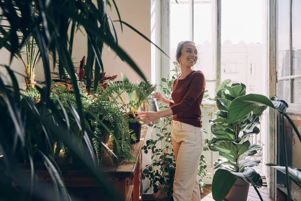 Mujer Joven Confiada Regando Plantas Interior Sonriendo Mientras Está Pie — Foto de Stock