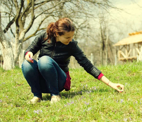 Recogiendo flores del jardín — Foto de Stock