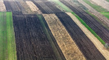 yukarıda up dan bitkileri
