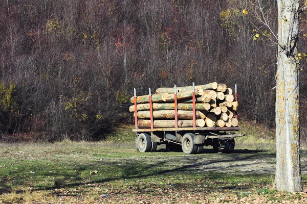 Wood for winter — Stock Photo, Image