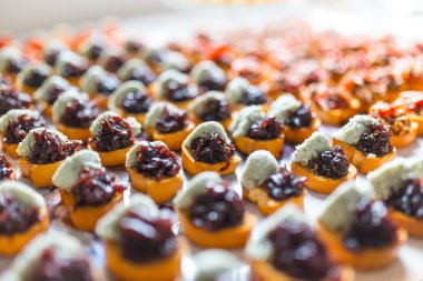 Appetizing various canapes