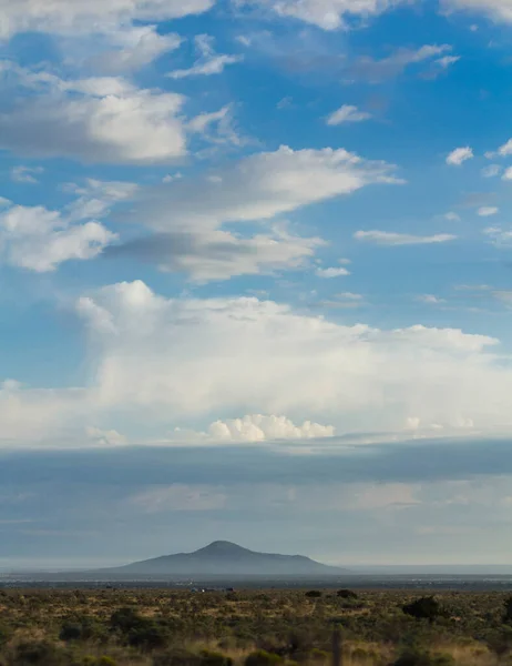 Steppe Dağı Sisle Çevrili Belirli Bozkır Bitkileri Görülebilir — Stok fotoğraf