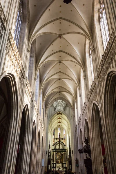 Внутрішній Двір Римо Католицького Собору Богоматері Антверпені Бельгія — стокове фото
