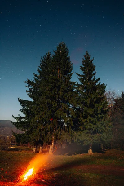 Foto Van Een Kampvuur Bij Bomen Nachts — Stockfoto