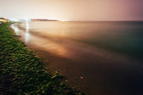 晚上在平静的大海边拍下海滩上许多海藻的照片 — 图库照片