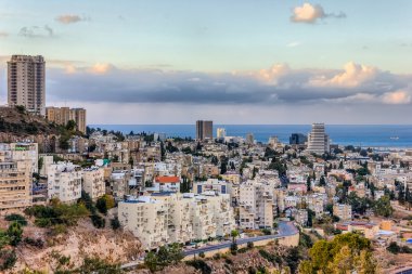 Haifa Hadar