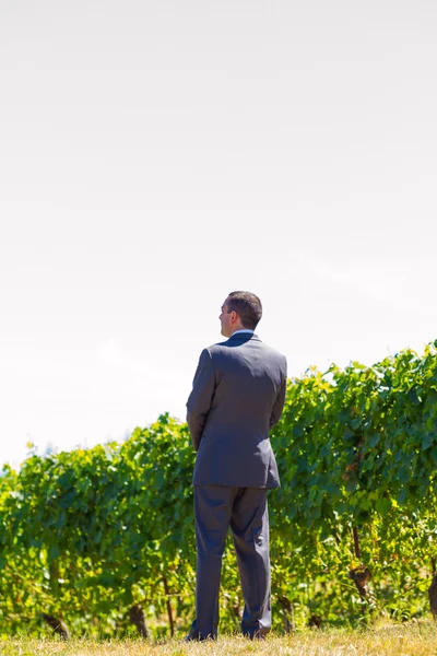 Handsome Groom Wedding Day — Stock Photo, Image