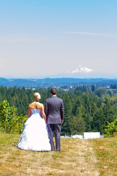 Sposa e Sposo con Vista Favolosa — Foto Stock