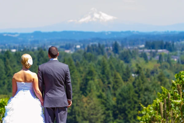 Sposa e Sposo con Vista Favolosa — Foto Stock