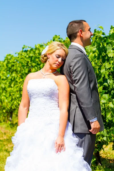 Bride and Groom Portraits — Stock Photo, Image