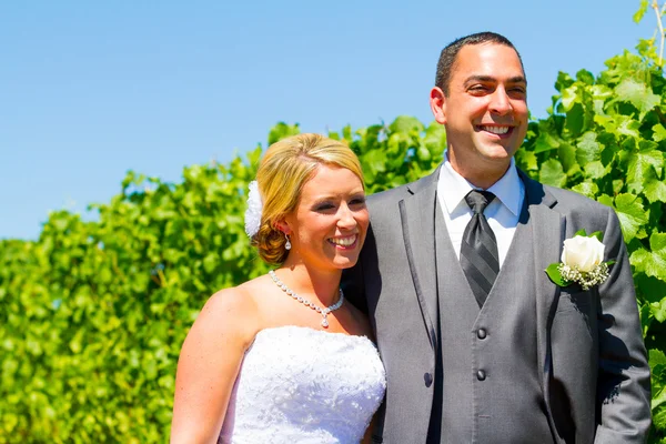 Bride and Groom Portraits — Stock Photo, Image