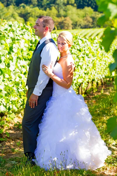 Portraits of Bride and Groom — Stock Photo, Image