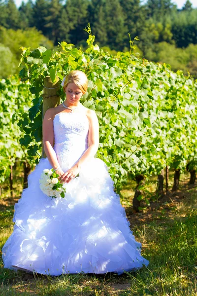 Sposa il giorno del suo matrimonio — Foto Stock