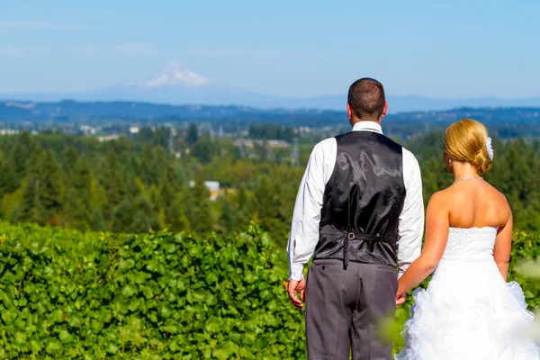 Braut und Bräutigam mit traumhafter Aussicht — Stockfoto